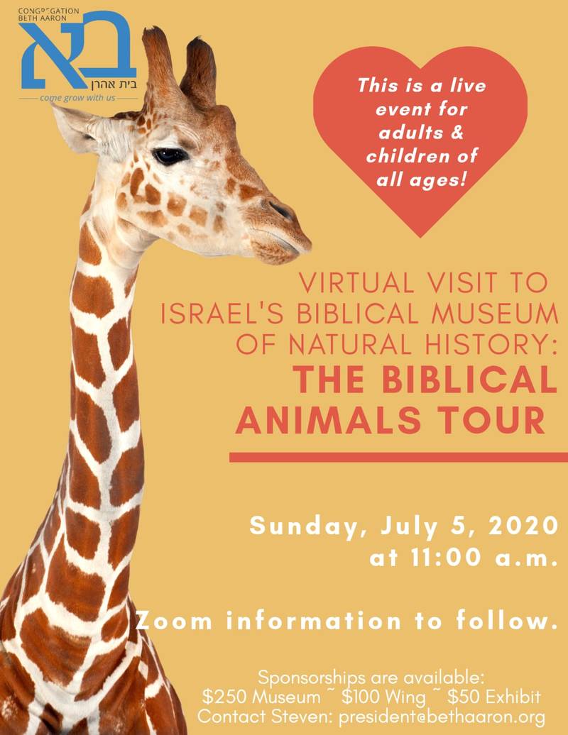 Banner Image for Biblical Museum of Natural History in Israel