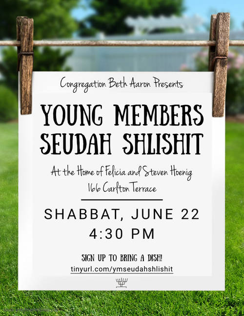 Banner Image for Young Members Seudah Shlishit
