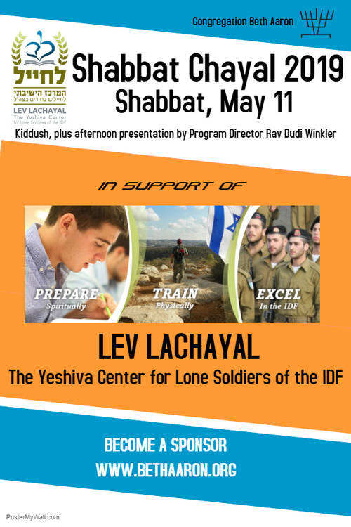Banner Image for Shabbat Chayal 2019